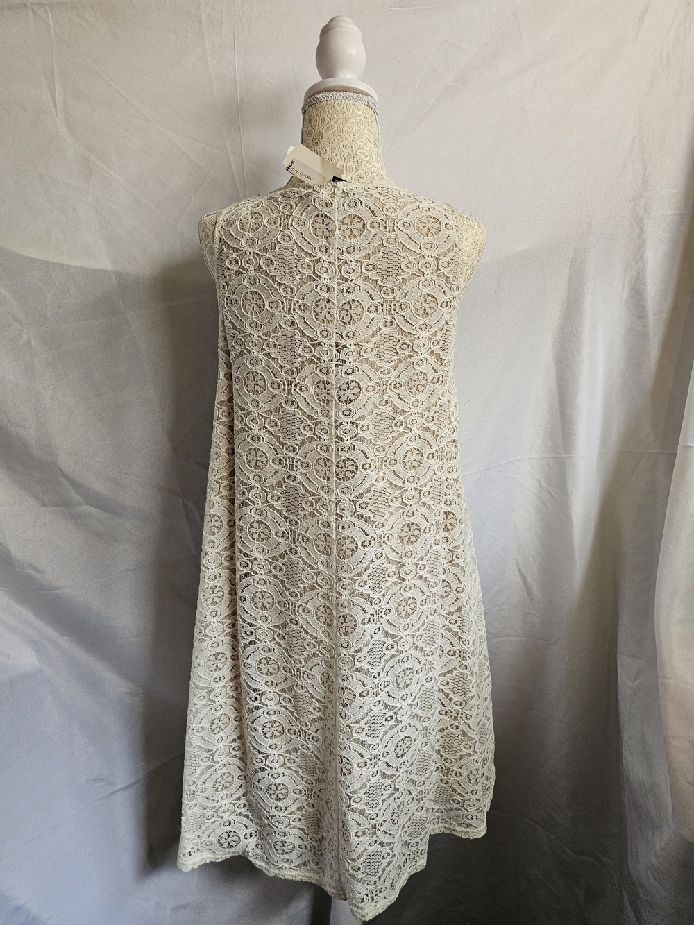 Sharagano Sleeveless Cream Lace Mini Swing Dress - Picture 3 of 5